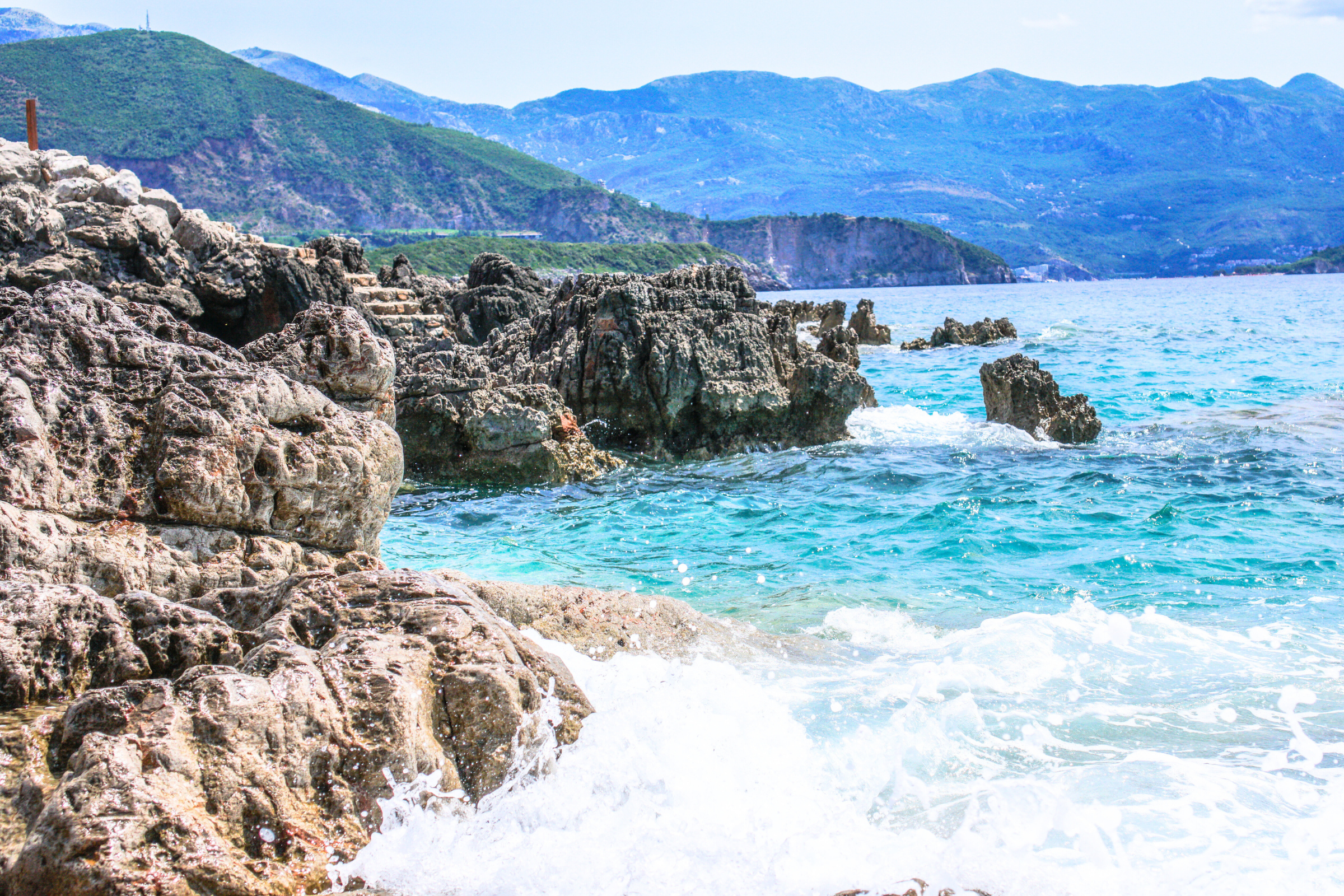 94 ploce.webp